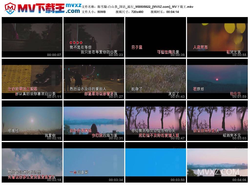 陈雪凝-白山茶_国语_流行_MB505822